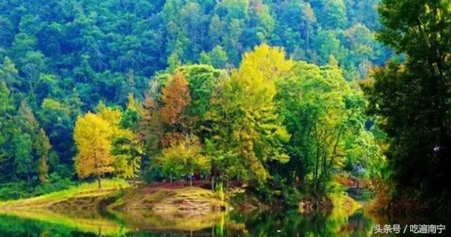 广西深秋好看的地方,广西的秋天哪里风景最美