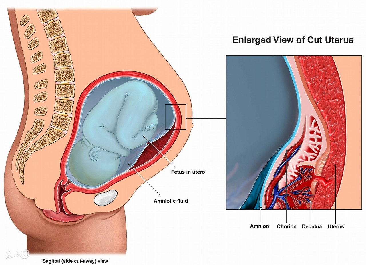 担心分娩意外,担心顺产分娩太痛怎么办