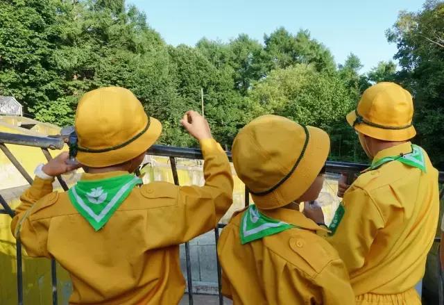 日本夏天治愈系风景北海道,夏天日本北海道之旅