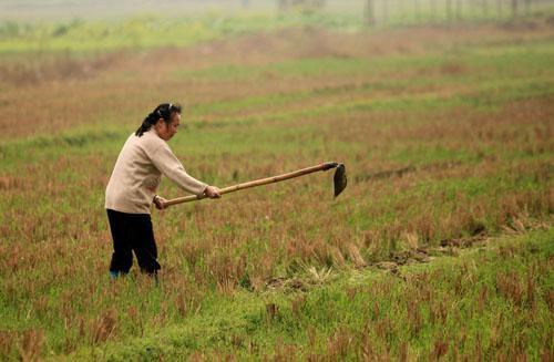老婆天天说我爸妈不好抱怨,媳妇总是说我妈坏话我该怎么办