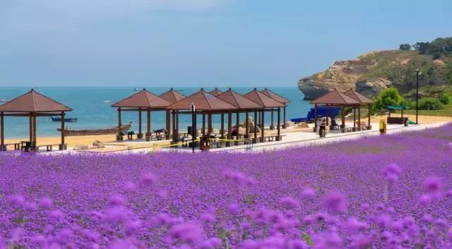 金石滩湿地公园,金石滩黄金海岸美丽景观