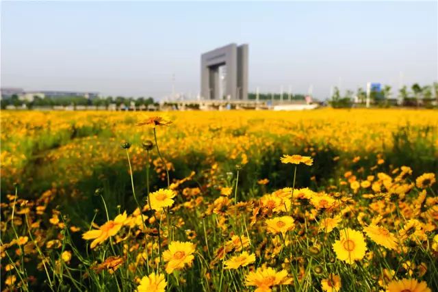 镇江有轨电车,镇江有名的塔叫什么塔