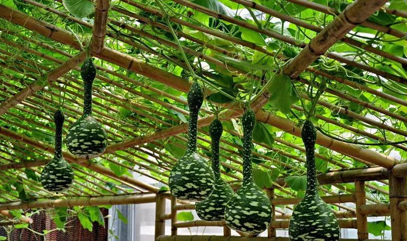 唐山开心岛水上乐园,唐山附近农场亲子乐园