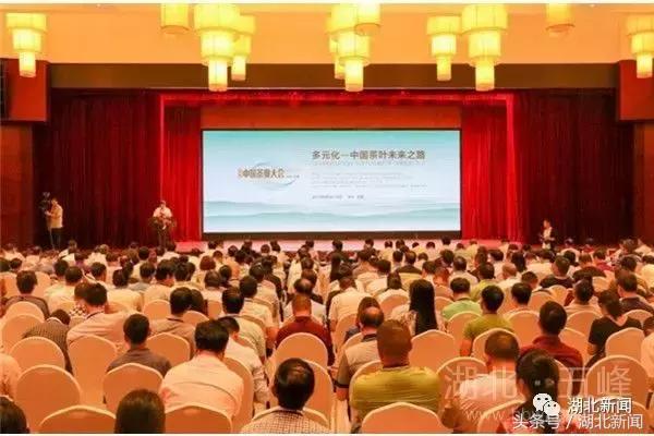 恩施毛尖茶叶有哪些,你喝过云南白茶吗