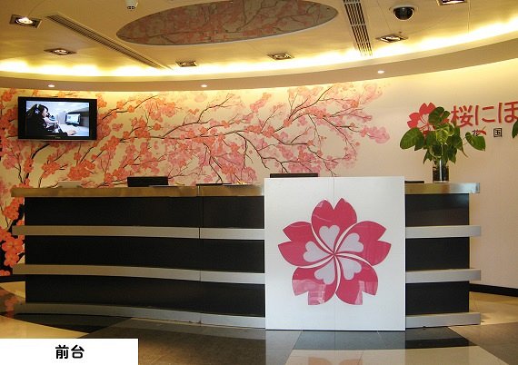 樱花日语学习,学好日语共赏樱花用日语怎么说