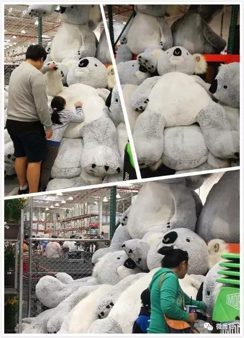 澳洲超市东西的价格,澳洲超市真实物价