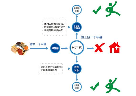 高同型半胱氨酸血症风险低正常吗,最容易被忽视的健康危险因素