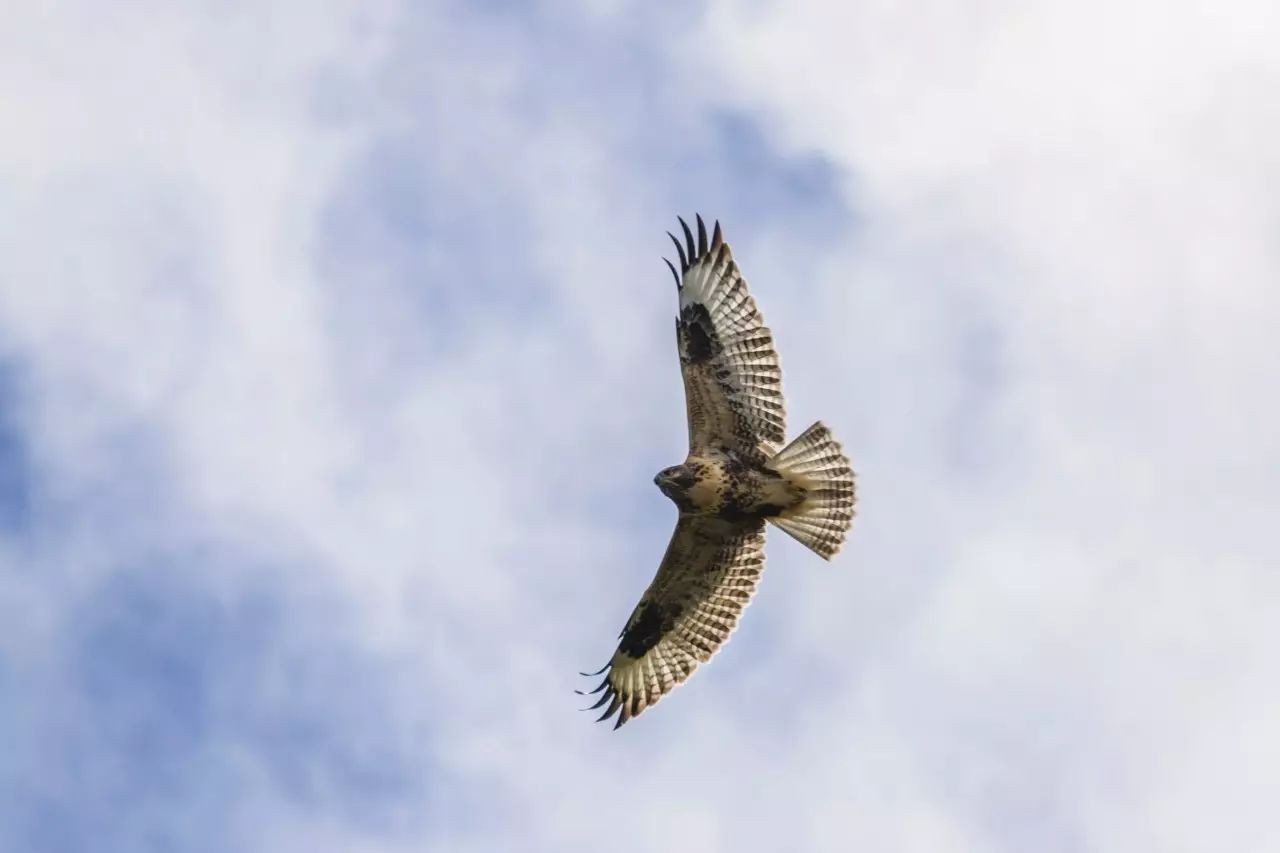 佳能6dmark2,佳能6dmarkii拍会议照片怎样对焦