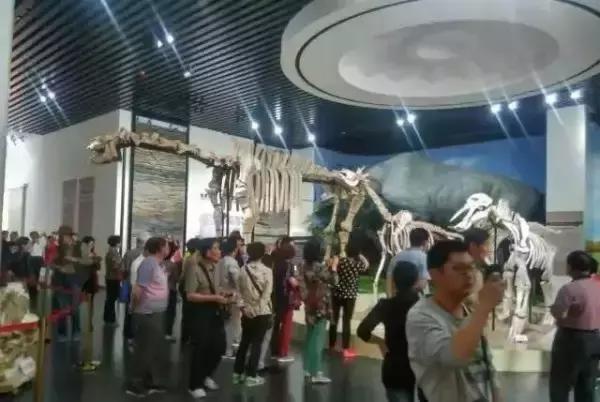 临夏最值得去的地方,来临夏必须去的景点