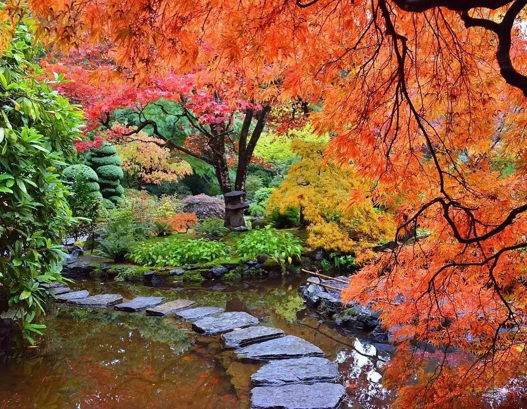 2018加拿大签证新政策是什么样的,2017加拿大签证攻略