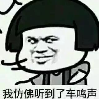 广州可以坐高铁去丽江吗,广州可以坐火车去越南吗