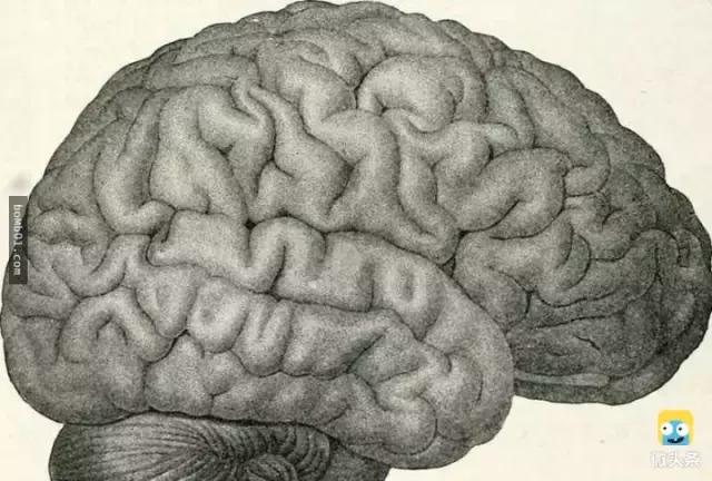 被雷劈是种什么样的体验？看完简直身受同感