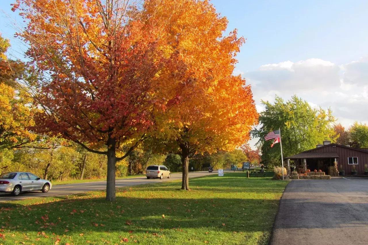 2018加拿大签证新政策是什么样的,2017加拿大签证攻略