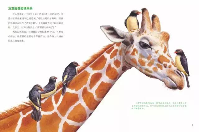 培养孩子10岁科学兴趣的书籍,科学培养孩子阅读能力