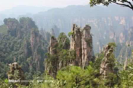 箭杆在外归外科箭头在内归内科原是笑谈若成真就