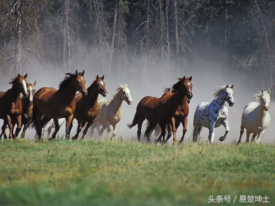 今日9月处女座感情运势分析,9月19日处女座星座运势详解