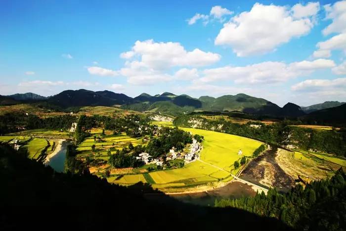 凤冈遵义茶,贵州遵义凤冈锌硒茶