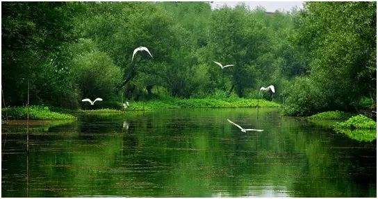 杭州游玩推荐带孩子亲子酒店,杭州最值得住的亲子酒店