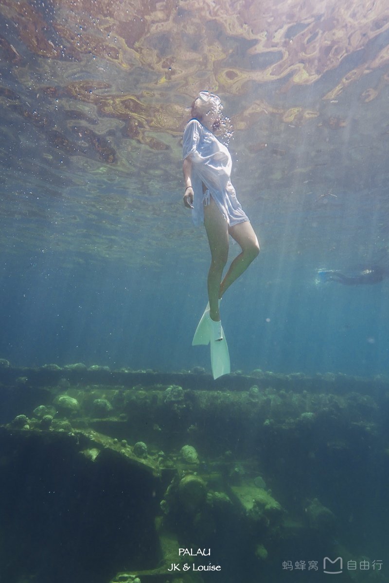 帕劳出海攻略,帕劳旅行攻略图文大全