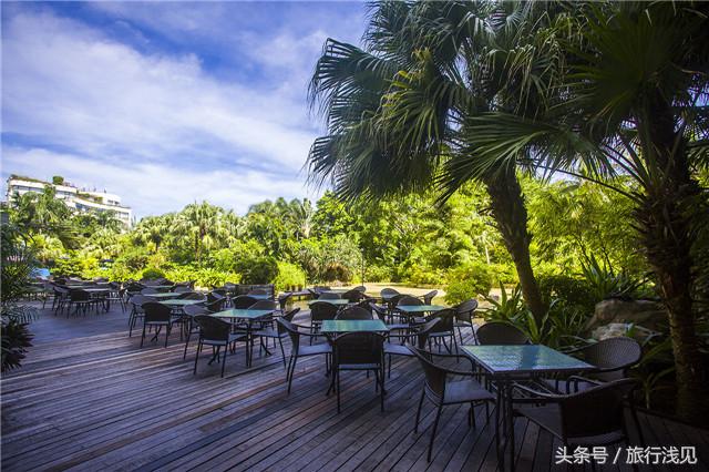 陪伴才是对孩子最好的祝福,陪伴才是给孩子最好的教育