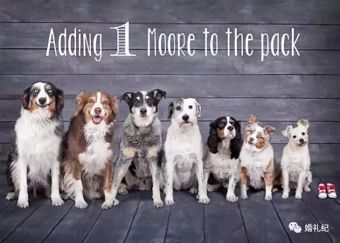 怀孕了还能跟领导谈涨工资么,怀孕怎么发朋友圈让领导知道