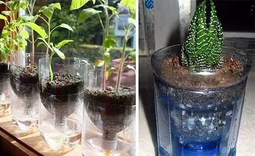 自制零成本花盆真好看,自制可爱的花盆大全