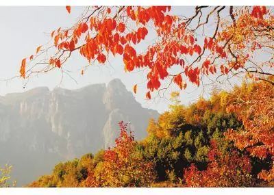 秦皇岛秋景最好的地方 (秦皇岛周边十月赏秋色的地方)