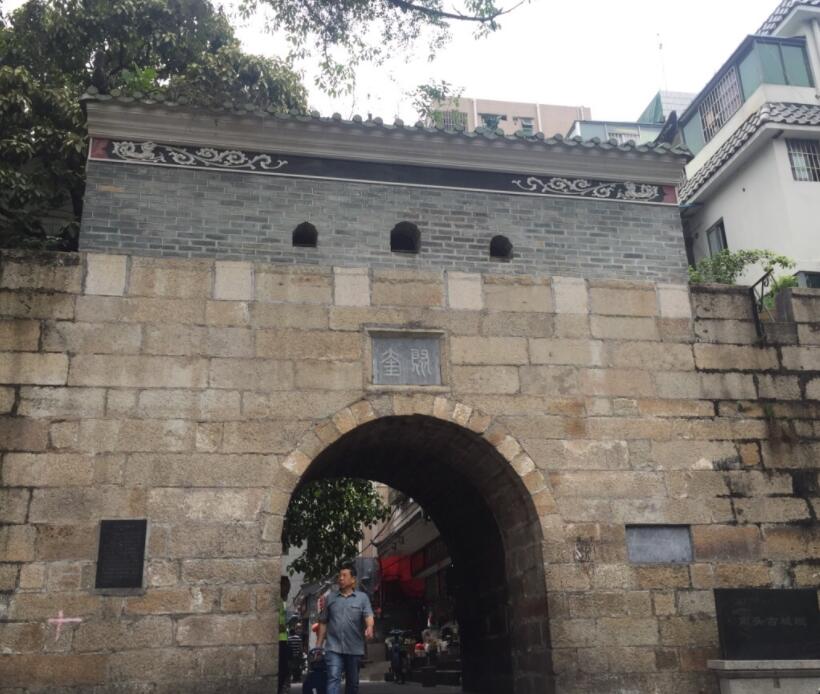 深圳历史上真实的遗迹,一起来挖恐龙化石