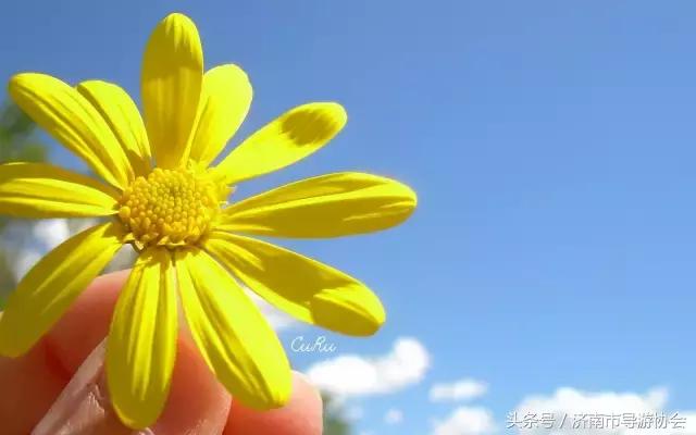 计调要学会什么,计调适合什么样的人