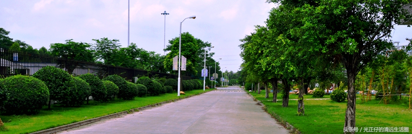 清远华侨中学简介,清远市清远华侨中学