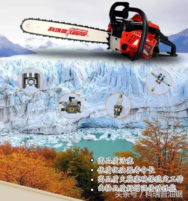 油锯伐木安全操作规程,伐木锯安全操作