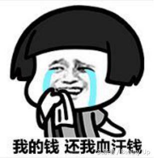 爱丽小屋配悦诗风吟,还有那些价格相当白菜?