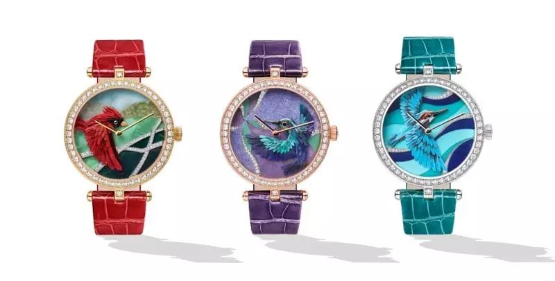 腕上鸟类图鉴｜谁是颜值之巅？