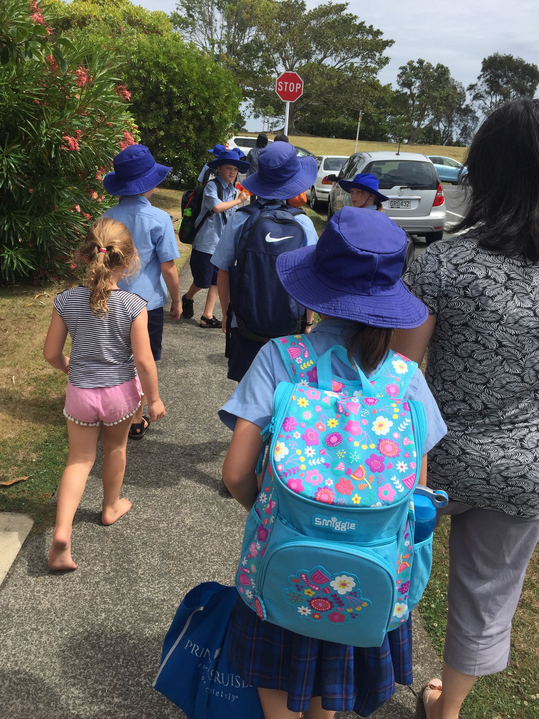 西方教育最重要的价值之阅读习惯的养成——我带儿子新西兰读小学