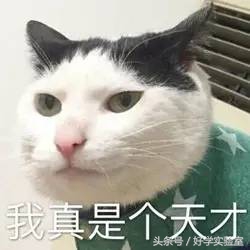 新高考化学必修一公式大全,高考复习笔记化学知识点