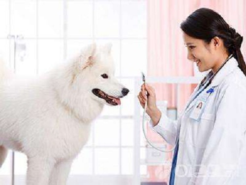 注意预防远离流感,秋冬季如何预防流感和新冠