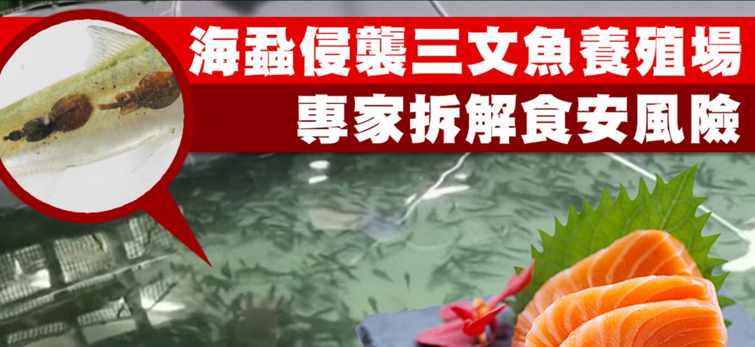 冰淇淋怎么1个小时不化,一周资讯最新信息