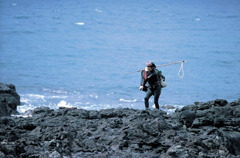 韩国旅游攻略畅游首尔五日四晚游,畅游首尔