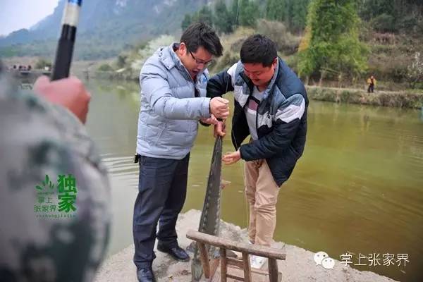 钓了8小时鱼塘老板哭了,黑坑老板被钓鱼人打崩溃