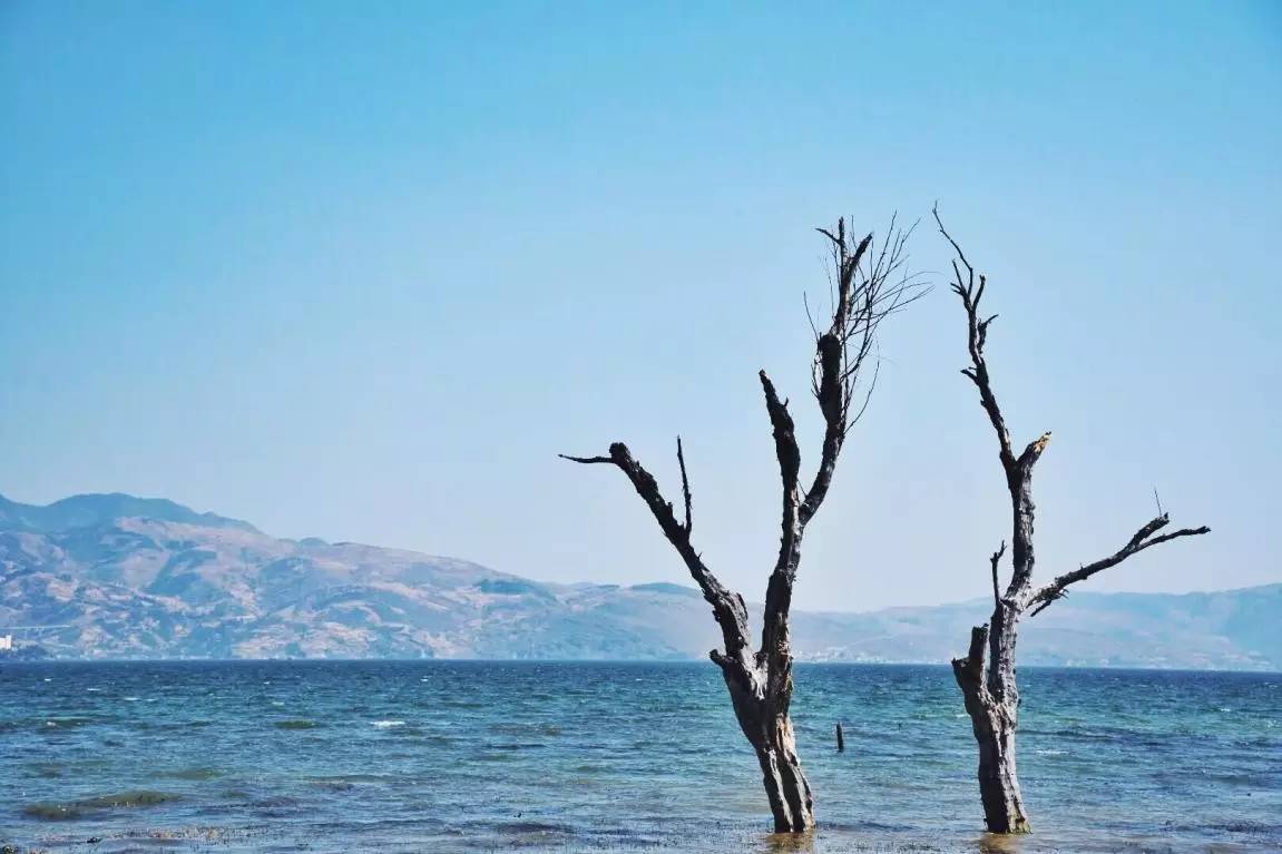 尼康d7200成片欣赏,尼康d7200一镜走天下