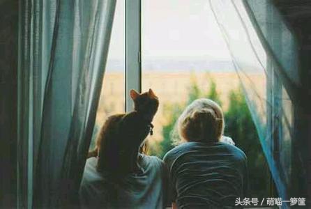 家猫离世后该如何走出伤痛