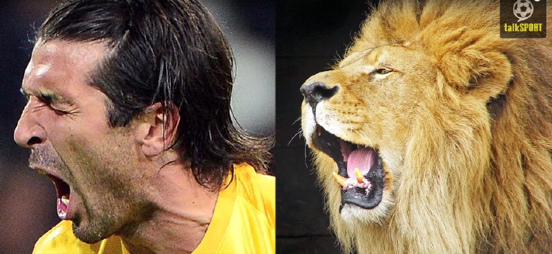 太像了！太像了！你喜欢的足球运动员像什么动物？