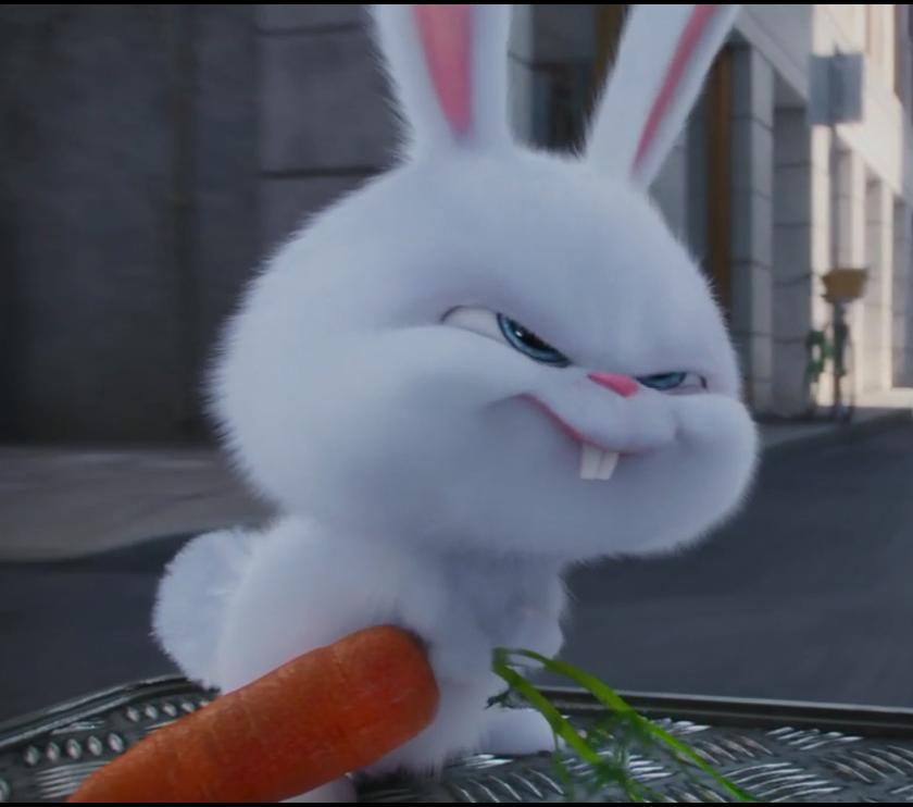 「请勿盲目收藏」——只推荐17首让你过耳不忘的经典影视原声