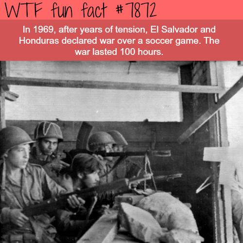 趣味事实季后赛,从未听说过的有趣事实