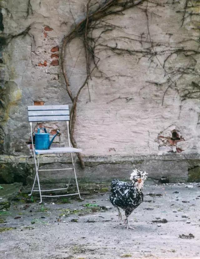 再老的房子也能焕然一新,破旧房子如何便宜装修