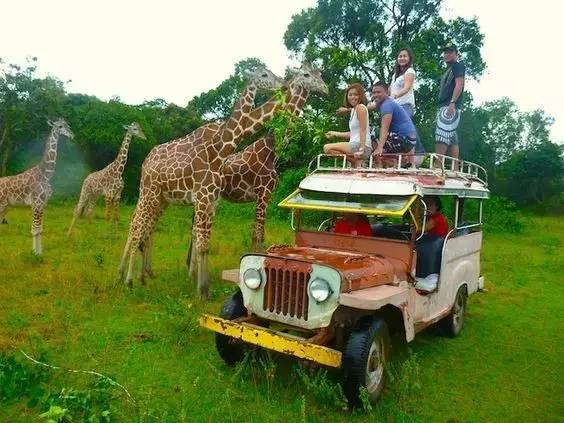 巴拉望岛好玩吗,巴拉望岛最大的岛屿