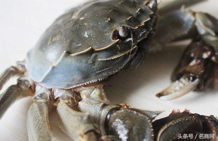 阳澄湖大闸蟹为什么电商很便宜,阳澄湖大闸蟹多少元一只