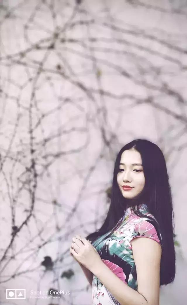 怎么评价一加这个品牌,怎么评价一加