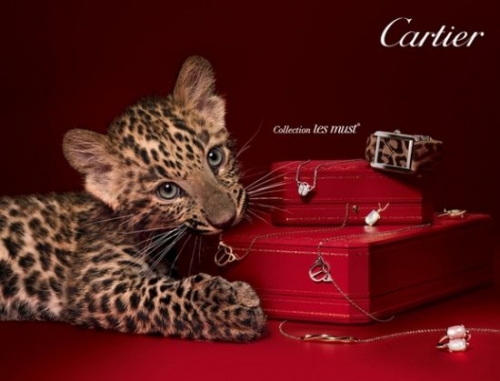 卡地亚情侣对戒款式及价格介绍——Cartier