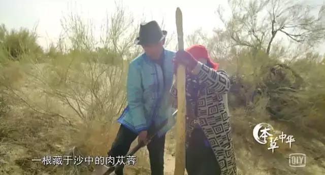 8.9,我们的片终于抢在韩国人前面